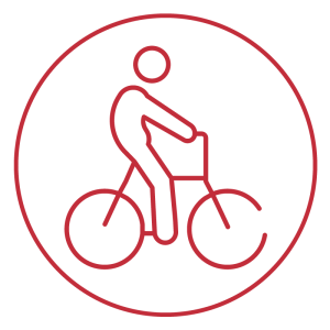 Biker Icon