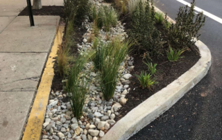 Bioswale Hoboken2